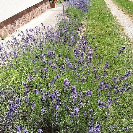 Kis Haz Apartman Zalacsány Exterior foto